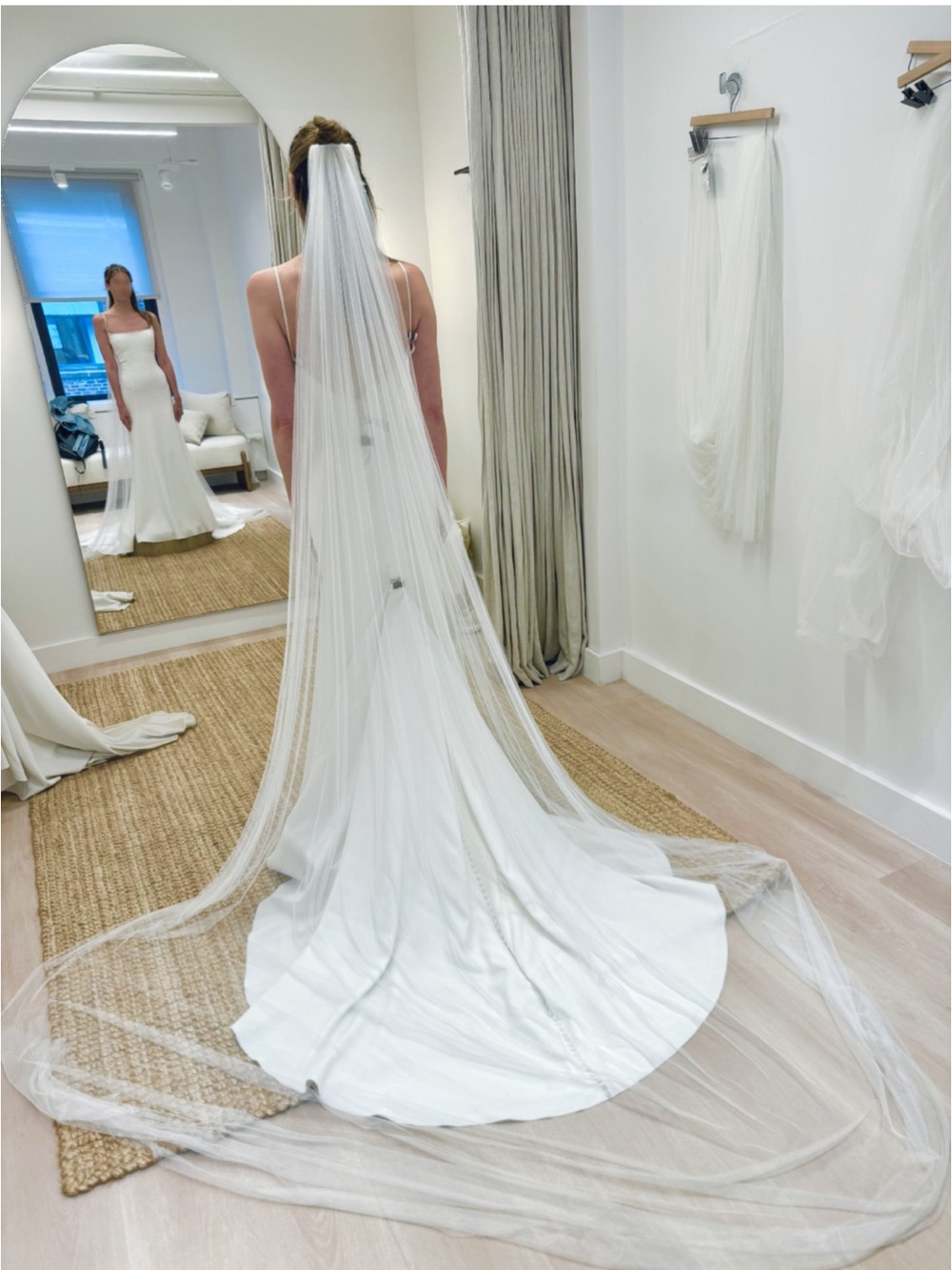Jenny Yoo Emery Gown + Free Veil - Picture 5 of 5